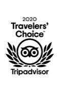 TripAdvisor 2020
